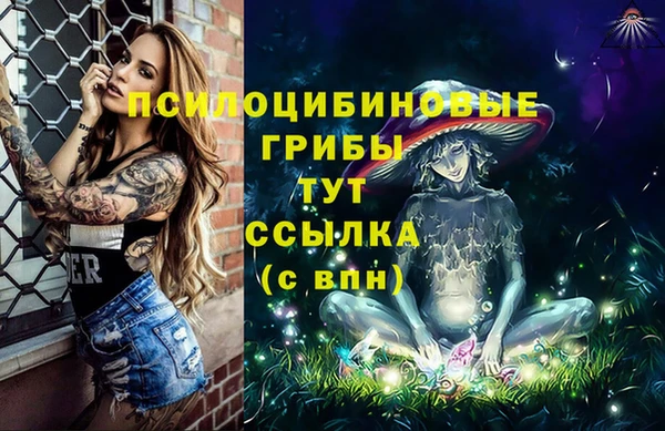 MDMA Premium VHQ Белокуриха